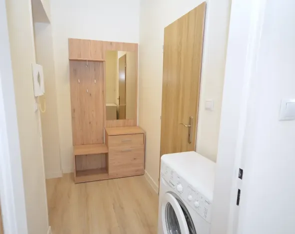 Pronájem bytu 1+kk, Frýdek-Místek, Bruzovská, 30 m2