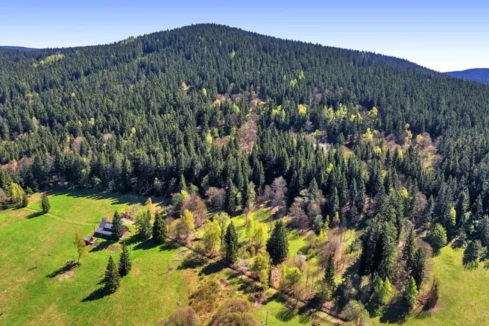 Prodej pozemku pro bydlení, Vítkovice, 21708 m2