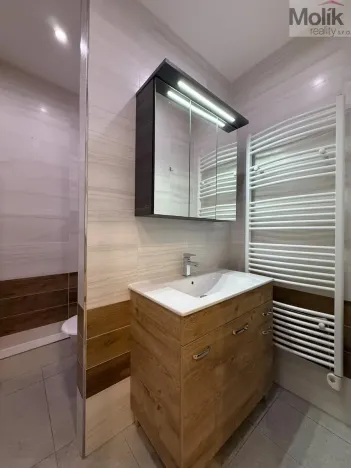 Pronájem bytu 1+kk, Teplice, U divadla, 38 m2