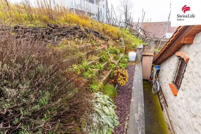 Pronájem ubytování, Nový Šaldorf-Sedlešovice, Na Staré cestě, 176 m2