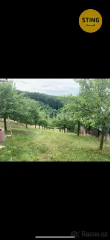 Prodej sadu/vinice, Věteřov, 1592 m2