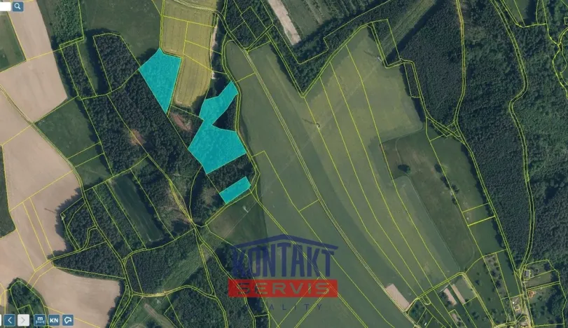 Prodej lesa, Sychrov - Radostín, 30767 m2