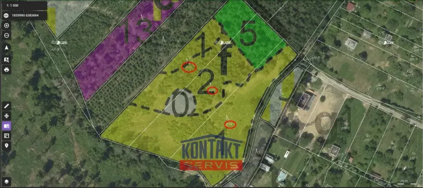 Prodej lesa, Jevíčko, 70821 m2