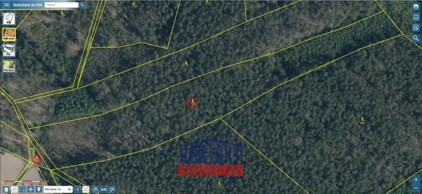 Prodej lesa, Bítouchov, 100105 m2