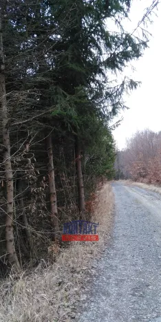 Prodej lesa, Lužná, 13657 m2