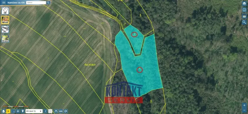 Prodej lesa, Bečice, 23812 m2