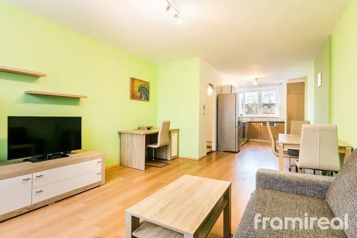 Pronájem bytu 2+kk, Brno, Renneská třída, 62 m2