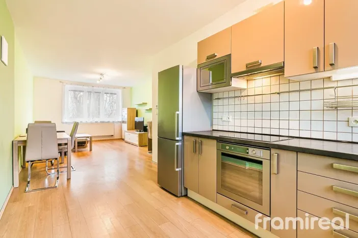 Pronájem bytu 2+kk, Brno, Renneská třída, 62 m2