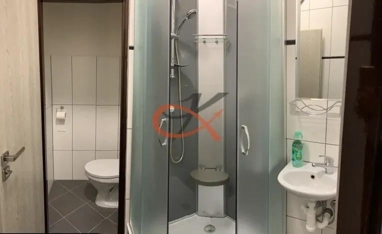 Pronájem bytu 1+kk, Rožnov pod Radhoštěm, Borová, 28 m2