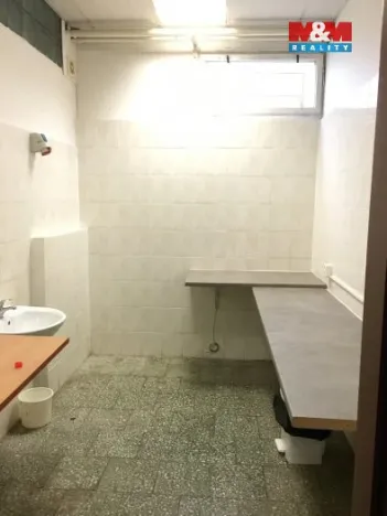 Pronájem obchodního prostoru, Ostrava, Vietnamská, 166 m2