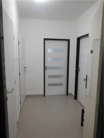 Pronájem bytu 1+1, České Budějovice - České Budějovice 3, Nerudova, 39 m2