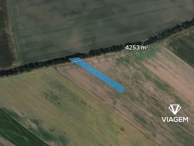 Prodej podílu pole, Prušánky, 1417 m2