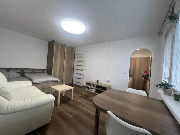 Pronájem bytu 1+kk, Hradec Králové, Severní, 27 m2