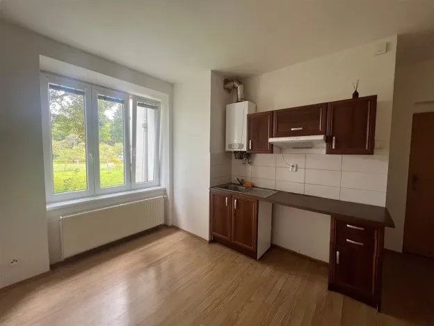 Pronájem bytu 1+kk, Aš, Chebská, 21 m2