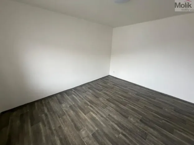 Pronájem bytu 1+1, Most, Lesní, 30 m2