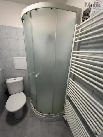 Pronájem bytu 1+1, Most, Lesní, 30 m2