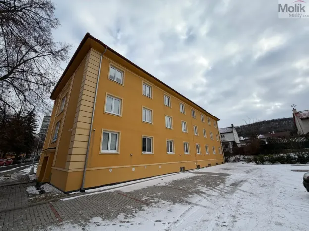 Pronájem bytu 1+1, Most, Lesní, 30 m2