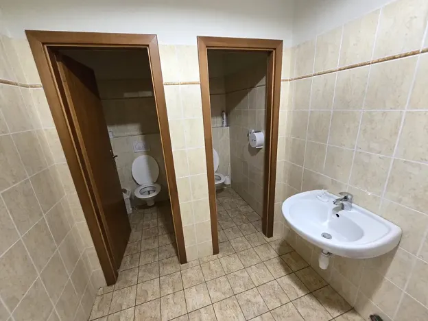 Pronájem výrobních prostor, Brno, Franzova, 785 m2