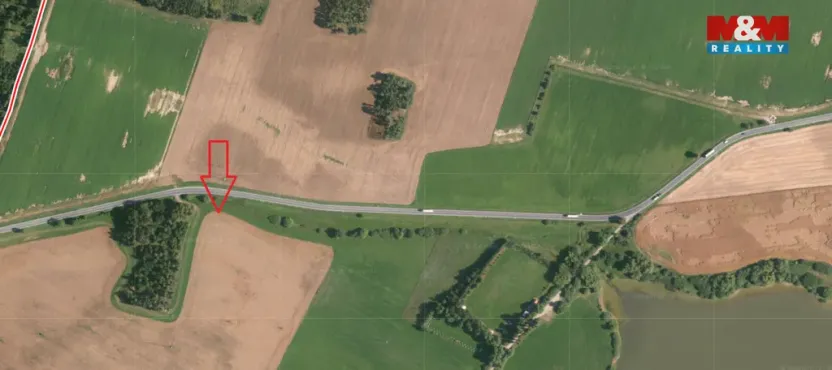 Prodej lesa, Malý Bor, 711 m2