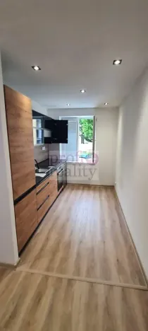 Pronájem bytu 1+kk, Frýdek-Místek, Petra Cingra, 50 m2