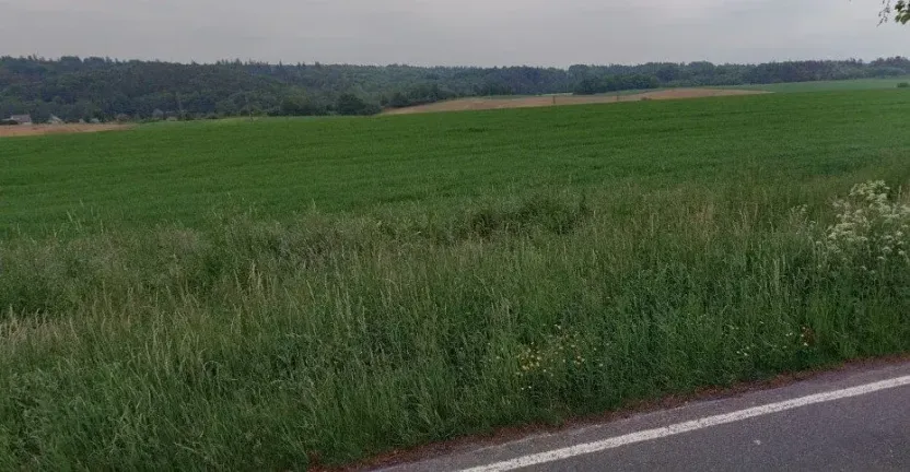 Prodej pole, Chuchelná, 2417 m2