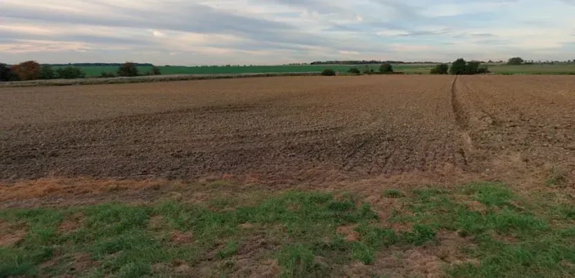 Prodej pole, Vlkaneč, 43901 m2