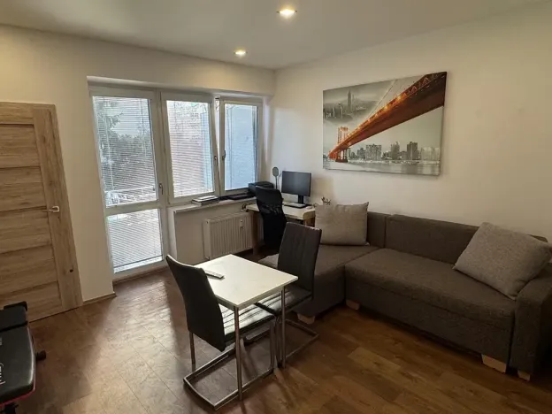 Pronájem bytu 1+kk, Brno, Dřevařská, 40 m2