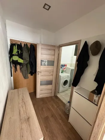 Pronájem bytu 1+kk, Brno, Dřevařská, 40 m2