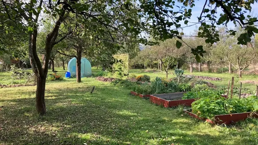 Prodej rodinného domu, Orlické Podhůří, 267 m2