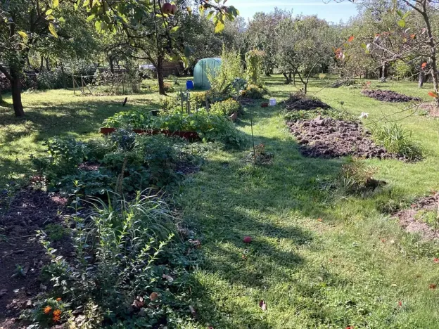 Prodej rodinného domu, Orlické Podhůří, 267 m2