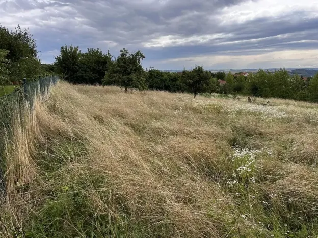 Prodej zahrady, Oslavany, 3447 m2