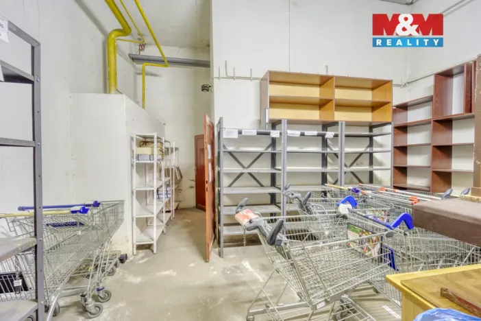 Pronájem skladu, Plzeň - Jižní Předměstí, Husova, 371 m2