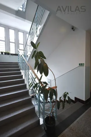 Pronájem bytu 2+kk, Praha - Žižkov, Biskupcova, 57 m2