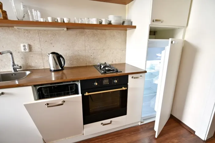 Pronájem bytu 2+1, Praha - Nusle, Oldřichova, 42 m2