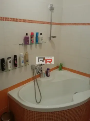 Prodej bytu 2+kk, Nové Sady, Družební, 62 m2