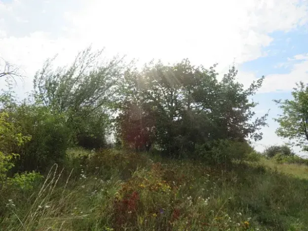 Dražba zahrady, Ploskovice, 23378 m2