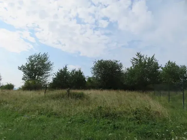 Dražba zahrady, Ploskovice, 23378 m2