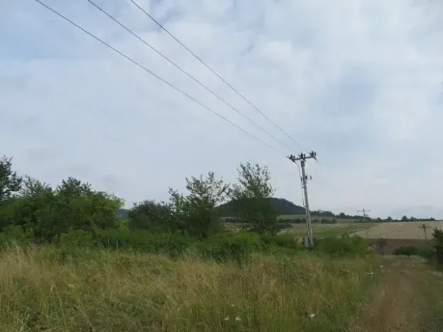 Dražba zahrady, Ploskovice, 23378 m2