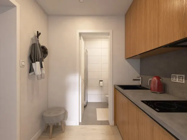 Pronájem bytu 1+1, Brno - Židenice, Bubeníčkova, 25 m2