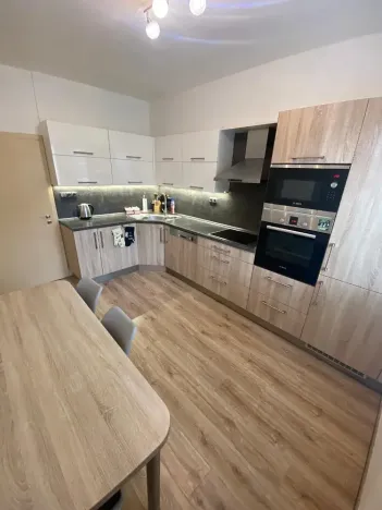 Pronájem bytu 2+1, Zlín, Padělky III, 68 m2