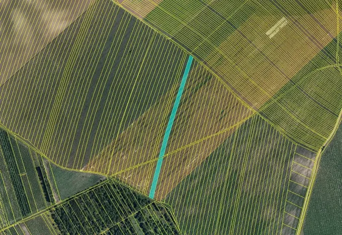 Prodej pole, Čejkovice, 25676 m2