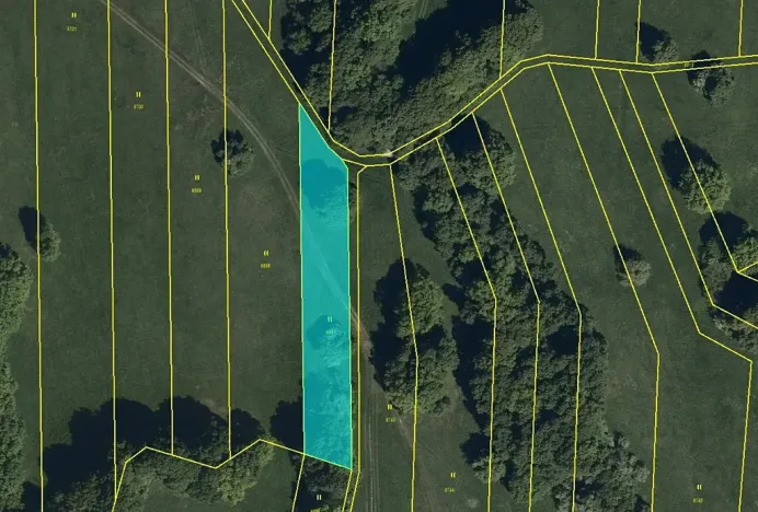 Prodej louky, Javorník, 4658 m2