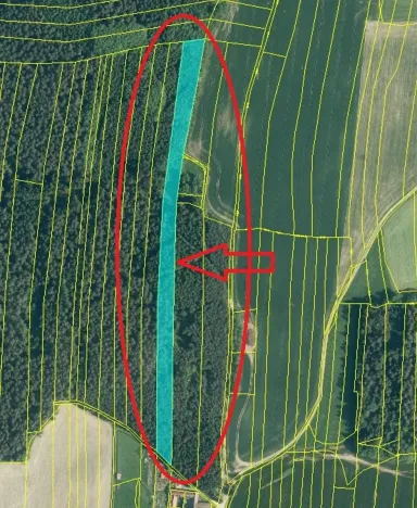 Prodej lesa, Ločenice, 11790 m2