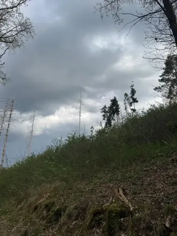 Prodej pozemku, Boršov nad Vltavou, 7673 m2