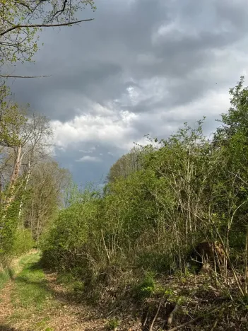 Prodej pozemku, Boršov nad Vltavou, 7673 m2