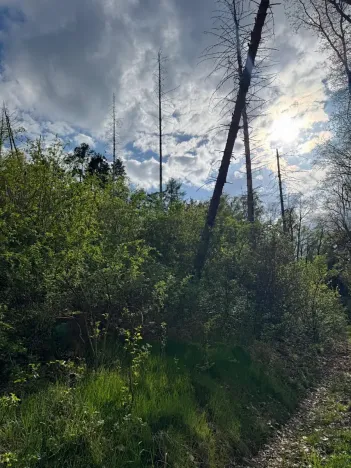 Prodej pozemku, Boršov nad Vltavou, 7673 m2