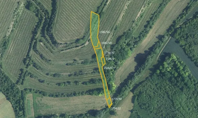 Prodej pole, Uherčice, 4057 m2