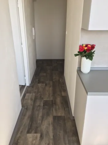 Pronájem bytu 2+1, Ostrava - Hrabůvka, Dr. Martínka, 52 m2