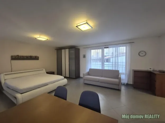 Pronájem bytu 1+kk, Praha - Vinohrady, Francouzská, 60 m2