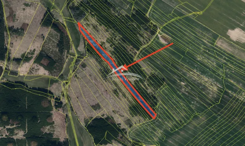 Prodej lesa, Žirovnice, 8890 m2